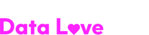 Data Love Tour logo